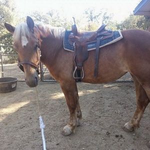 Meet your Posher, Korrine